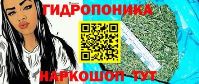 спайс Можга