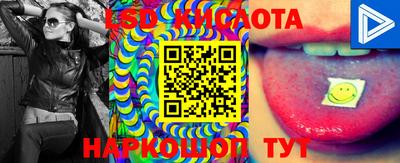 индика Моздок