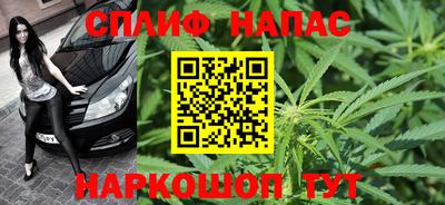 индика Моздок