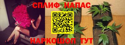 спайс Можга