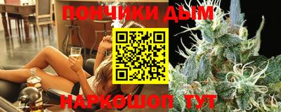 индика Моздок