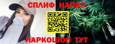 индика Моздок