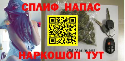 индика Моздок