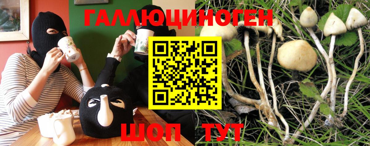 Галлюциногенные грибы мухоморы Торжок