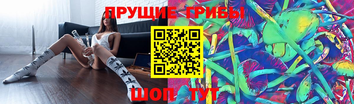 Торжок  Псилоцибиновые грибы Psilocybe  продажа наркотиков  Псилоцибиновые грибы мицелий  Вход с VPN 
